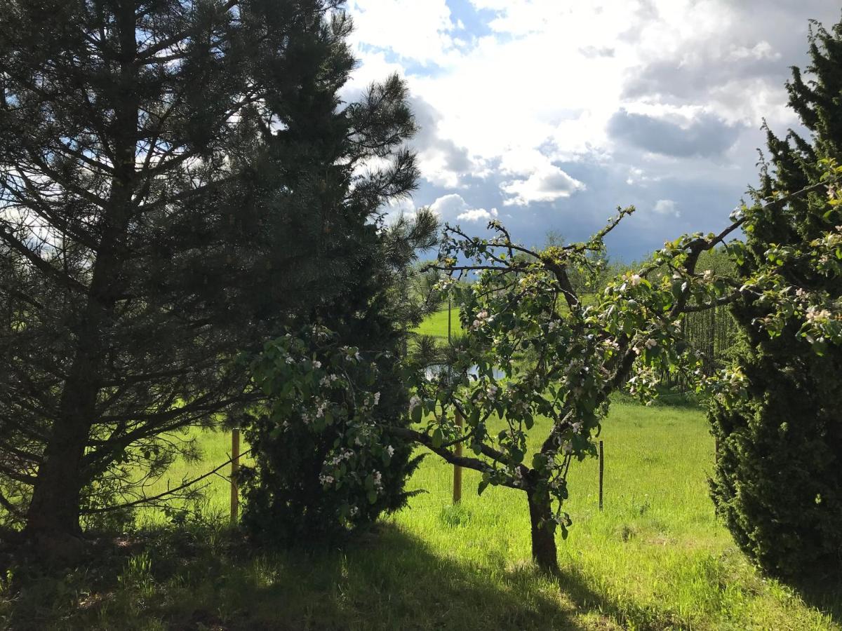 Siedlisko Na Gorce Villa Zalec Buitenkant foto