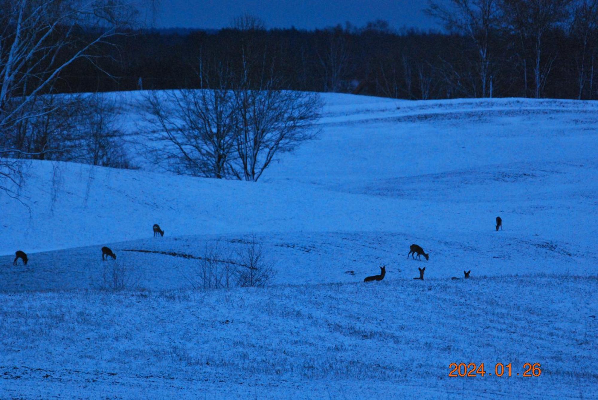 Siedlisko Na Gorce Villa Zalec Buitenkant foto