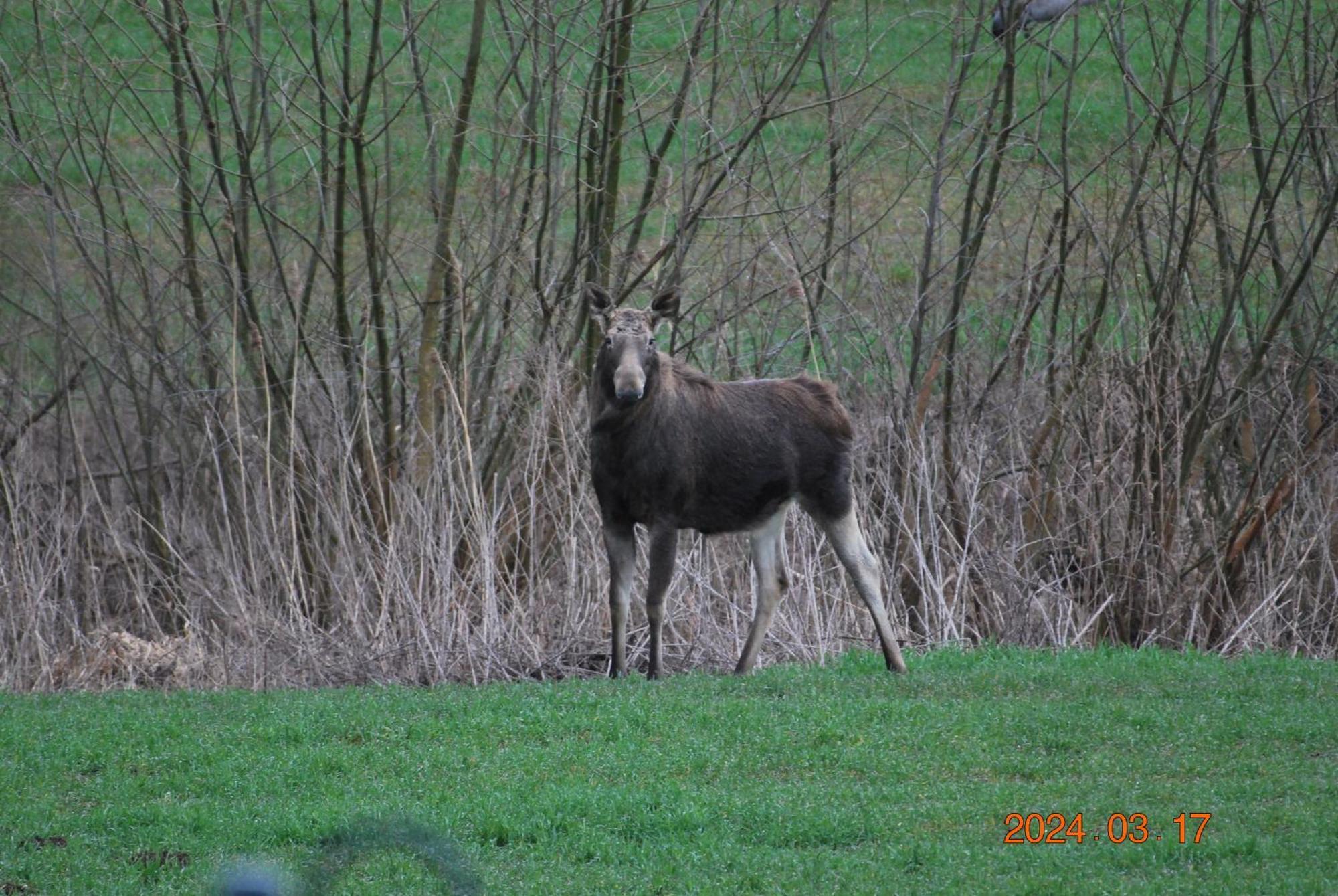 Siedlisko Na Gorce Villa Zalec Buitenkant foto